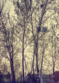 纯手工老粗布是什么材质