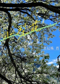 小梨花女装新款分享